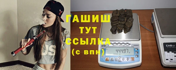 индика Няндома