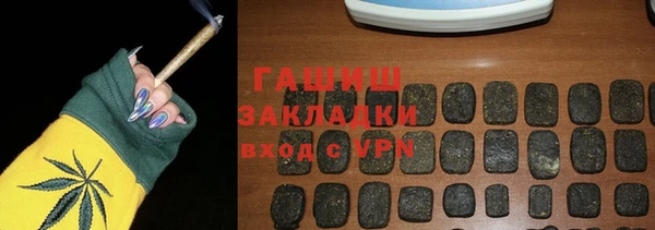 индика Няндома