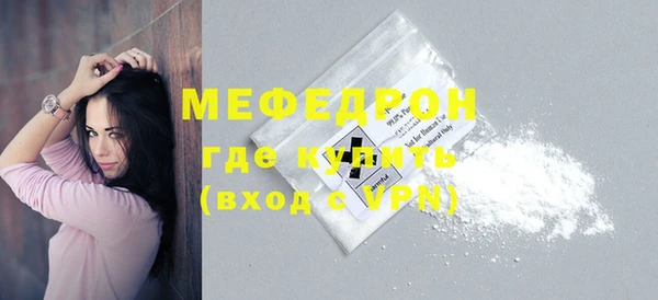 индика Няндома