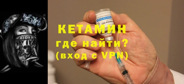 индика Няндома