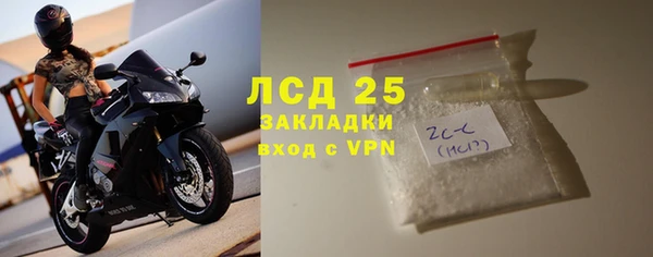 индика Няндома