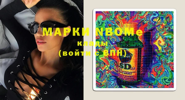индика Няндома