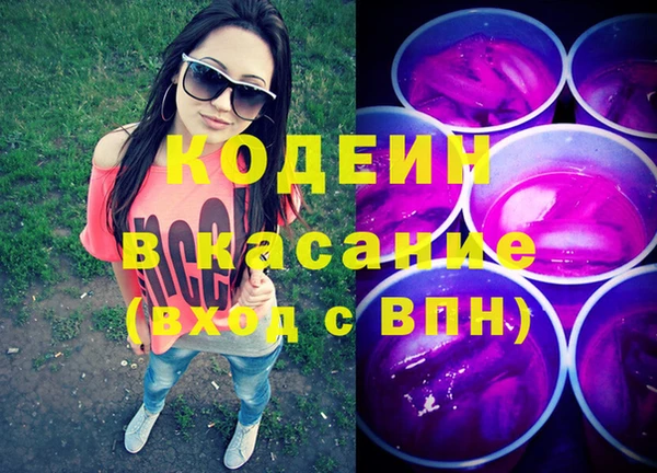 хмурый Новозыбков