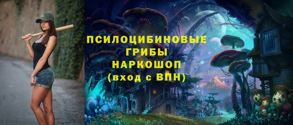 прущая мука Соль-Илецк