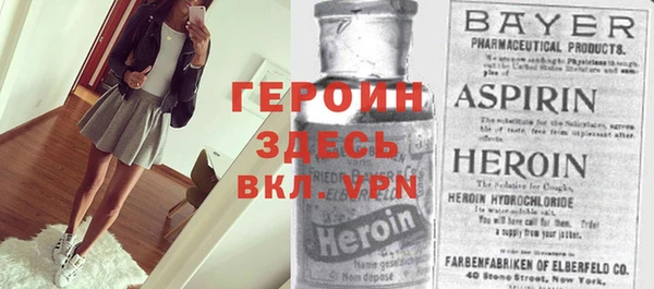 индика Няндома