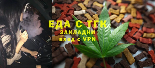 индика Няндома