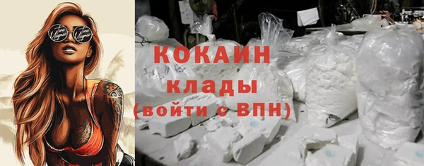 дживик Соликамск
