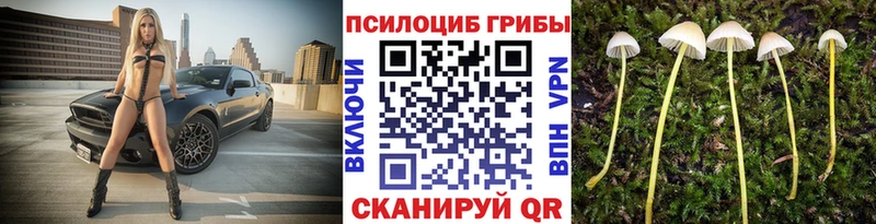 Галлюциногенные грибы GOLDEN TEACHER где можно купить наркотик гидра онион Сергач